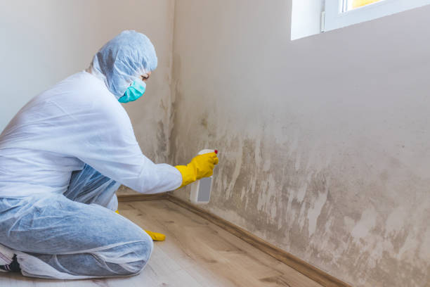 Commercial Mold Remediation assessment for commercial property in Windermere